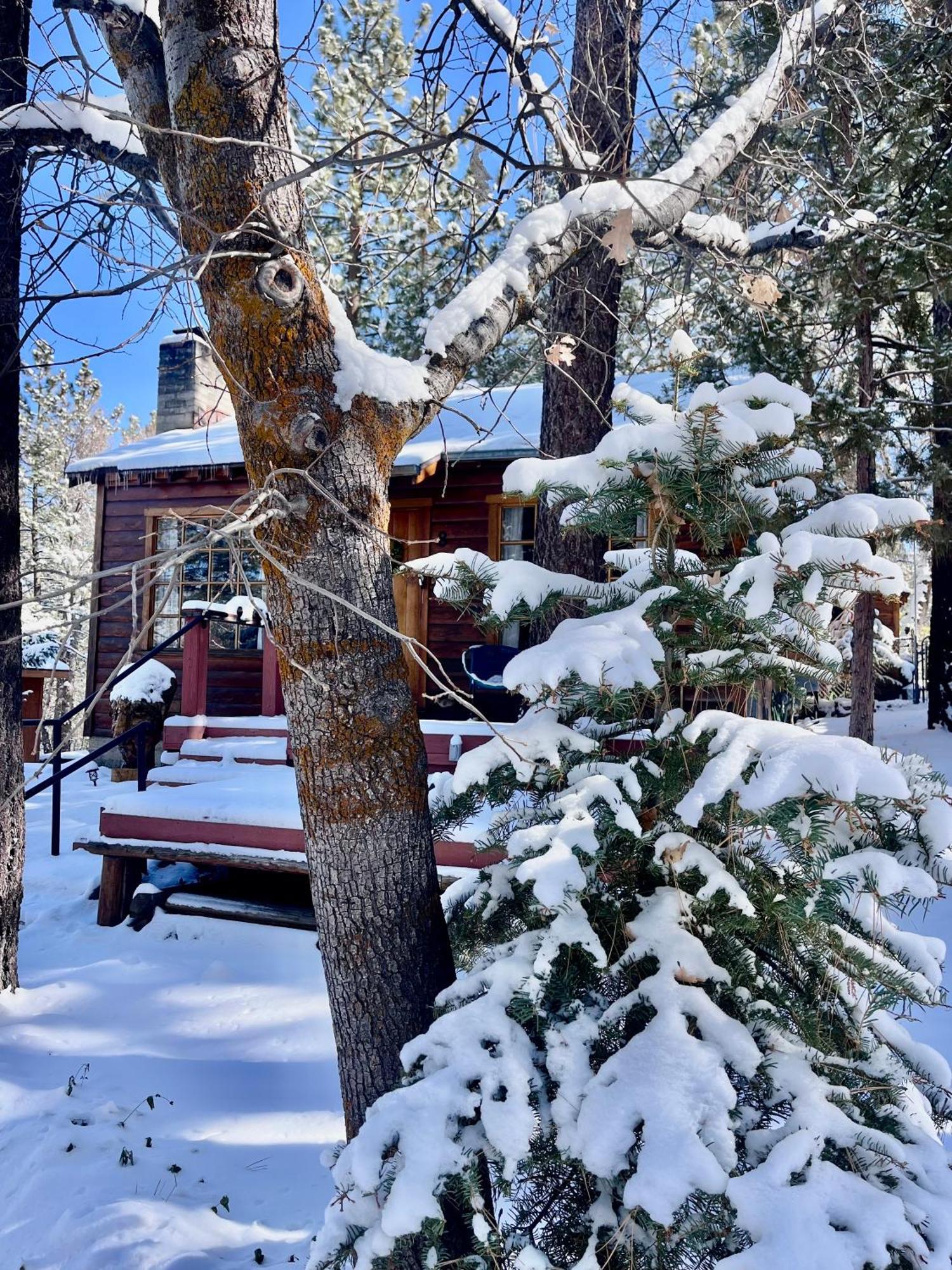 Villa The Nest On Towne Trail - Hot Tub, Bbq, Fire Pit Big Bear Lake