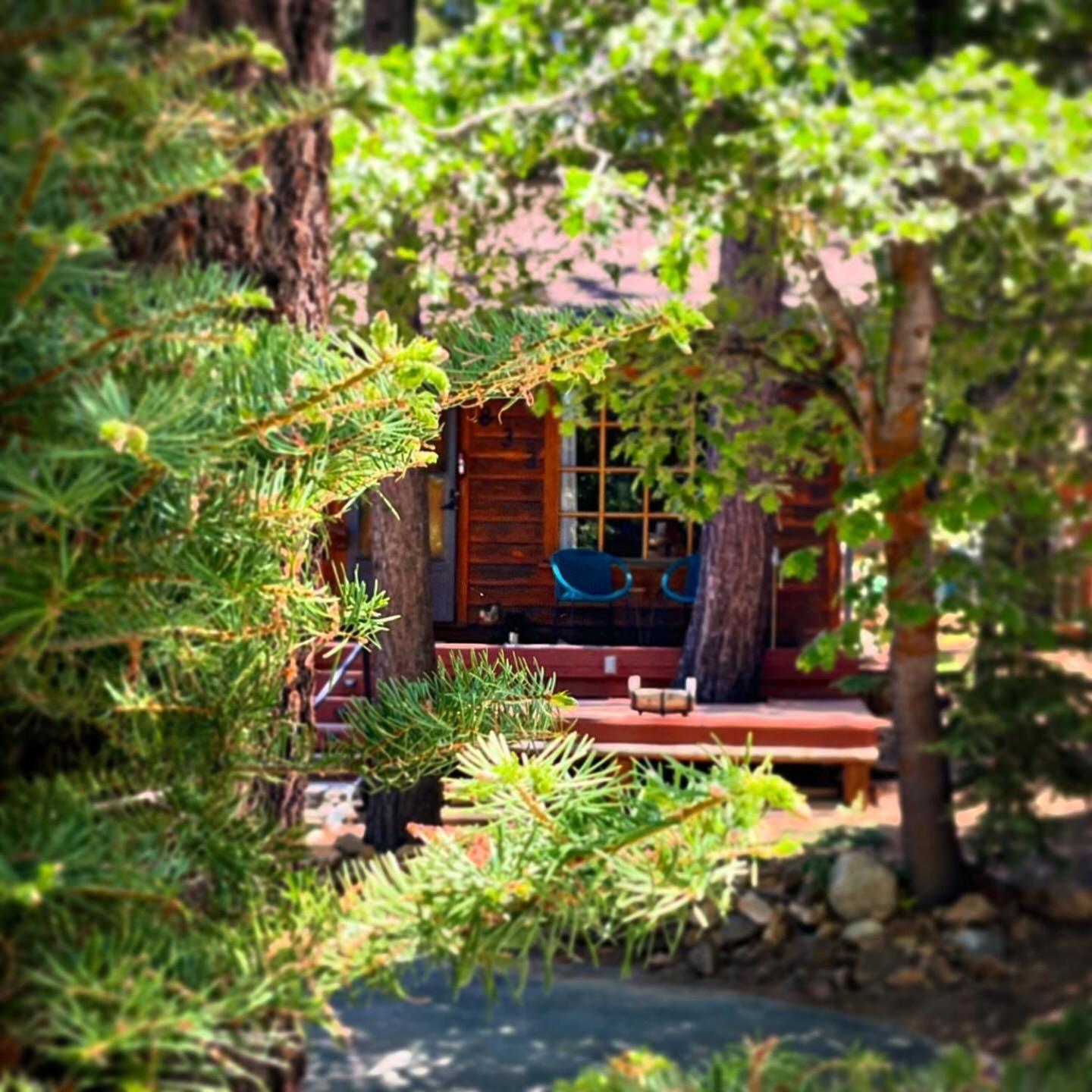 The Nest On Towne Trail - Hot Tub, Bbq, Fire Pit Villa Big Bear Lake